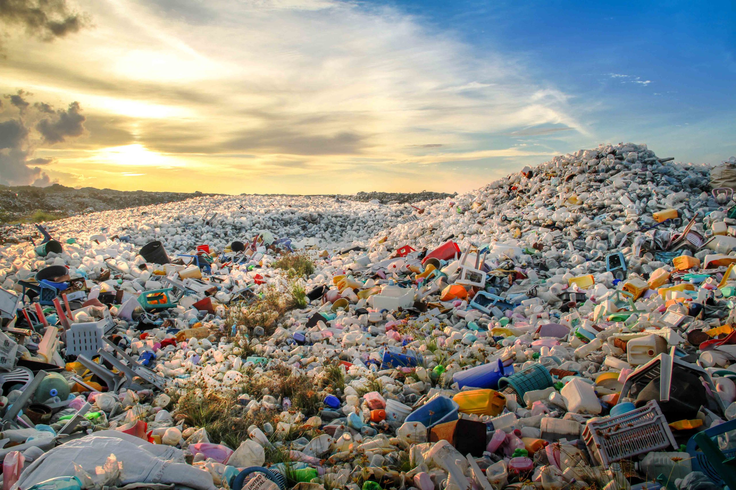 Waste Management